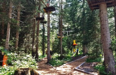 🌲 Accrobranche – Sentier Suspendu de la Fouly