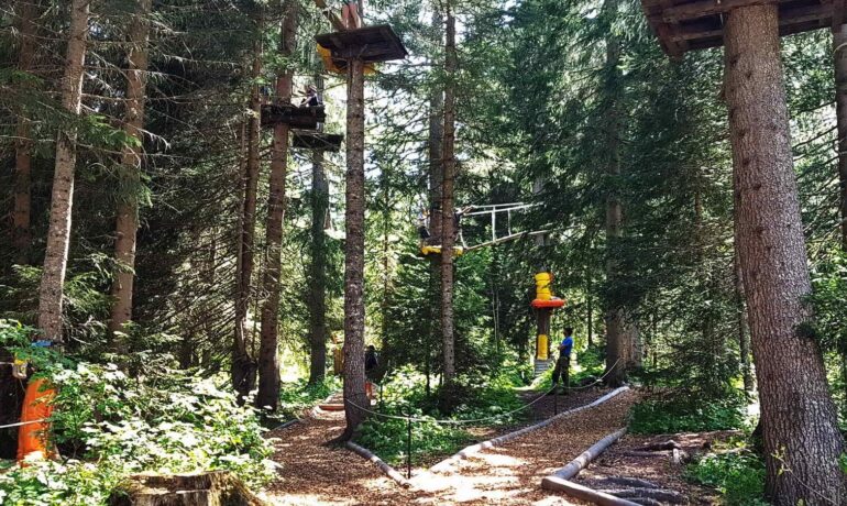 🌲 Accrobranche – Sentier Suspendu de la Fouly