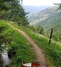 🏞️ Bisse Vieux et Bisse du Milieu – Nendaz