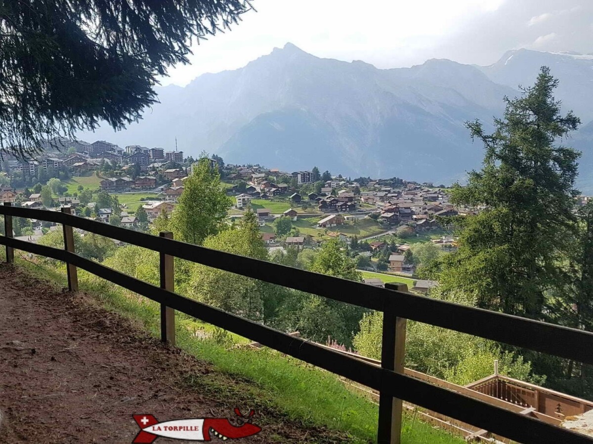 Les nombreux chalets de Nendaz construits sur d'anciennes cultures et vergers. Les nombreux chalets de Nendaz construits sur d'anciennes cultures et vergers.