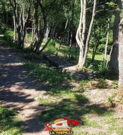 🏞️ Bisse du Tsampé et bisse de Déjore – Savièse