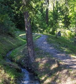 🏞️ Bisse du Tsampé et bisse de Déjore – Savièse