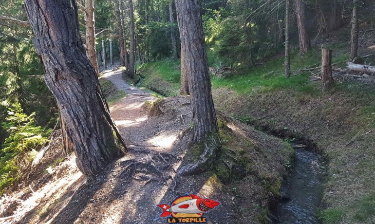 🏞️ Bisse du Tsampé et bisse de Déjore – Savièse