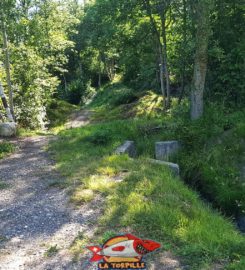 🏞️ Bisse du Tsampé et bisse de Déjore – Savièse