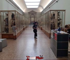 🖼️ Musée de Zoologie de Lausanne