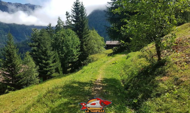 🏞️ Vieux Bisse – La Tzoumaz