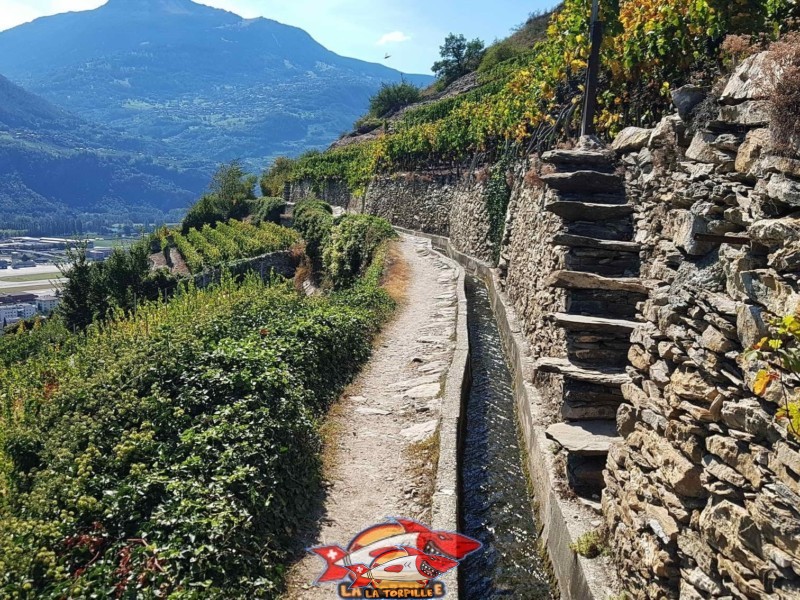 Le chemin dans le vignoble, au bord du bisse de Mont d'Orge.