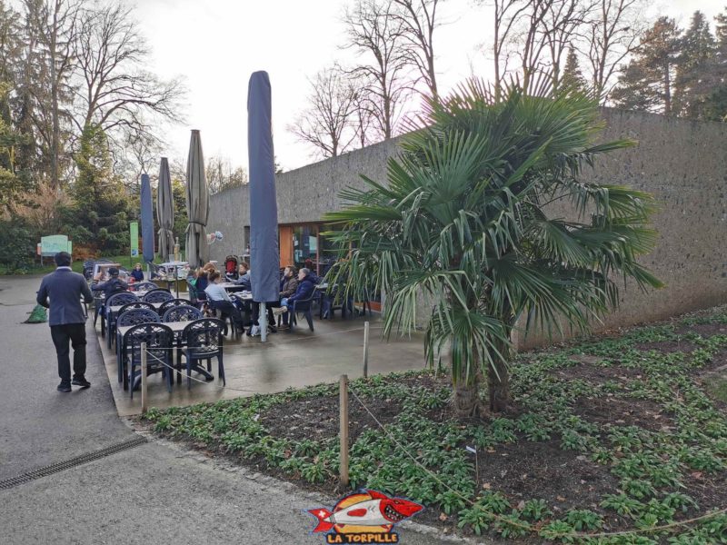 Le restaurant et terrasse du parc. jardin botanique geneve