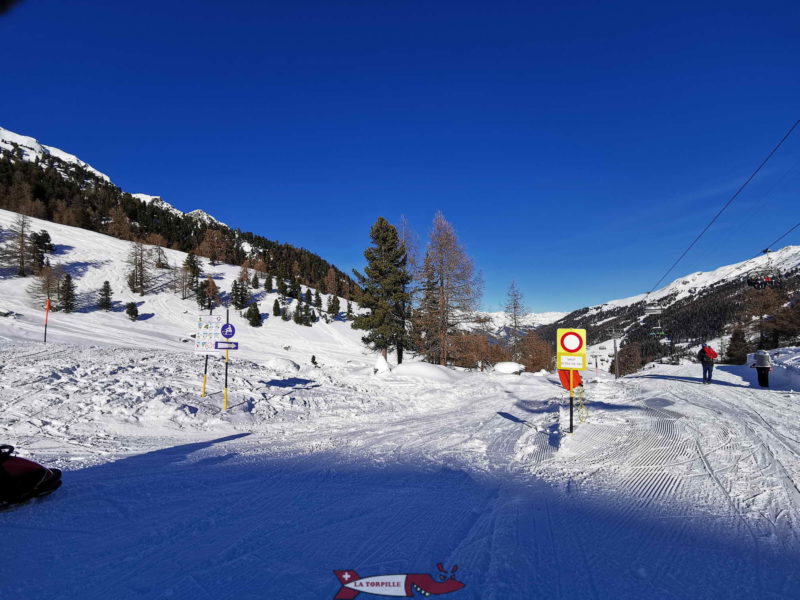 Le départ de la piste de luge interdite aux skieurs.