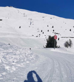 🛷🚗 Piste de Luge d’Hiver et Mountain Cart sur Neige à Grimentz