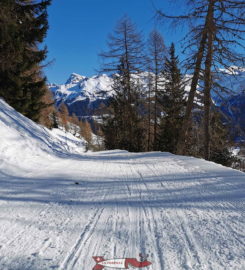 🛷🚗 Piste de Luge d’Hiver et Mountain Cart sur Neige à Grimentz