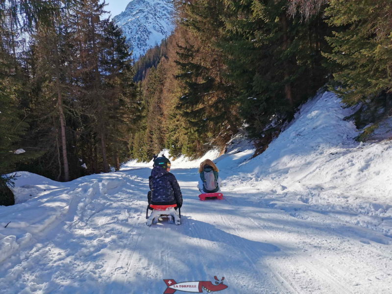 La partie terminale dans la forêt.