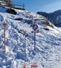 🛷🛟 Piste de Luge d’Hiver et Snowtubing à Charmey