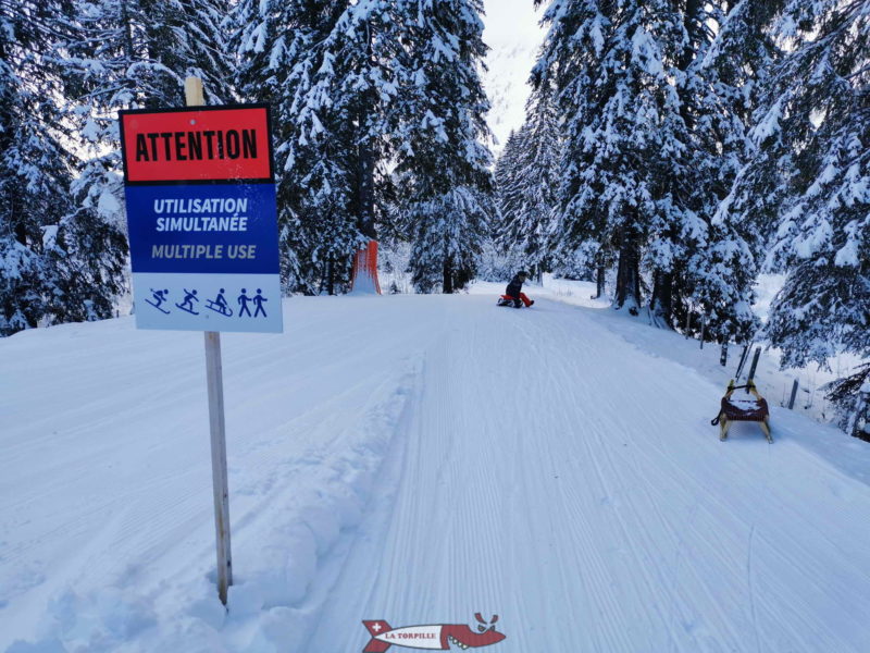 Une partie de la piste de luge de Charmey partagée avec les skieurs.