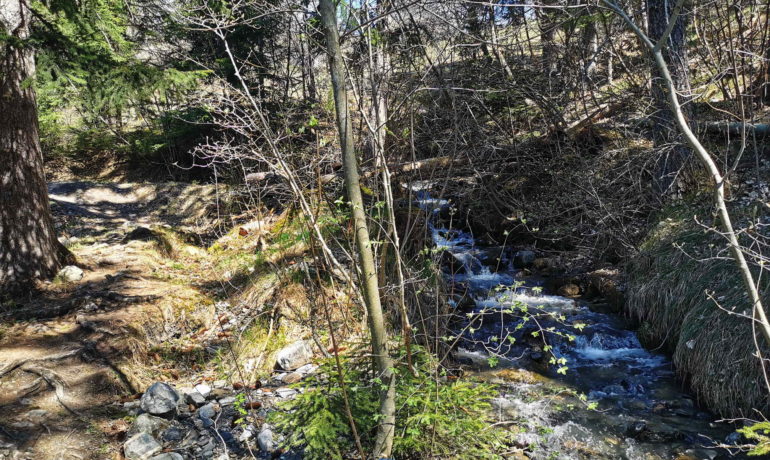 🏞️ Bisse de Grimisuat