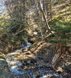 🏞️ Bisse de Grimisuat