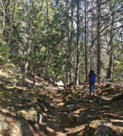 🏞️ Bisse de Tsa Crêta – Val d’Hérens