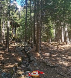 🏞️ Bisse de Tsa Crêta – Val d’Hérens