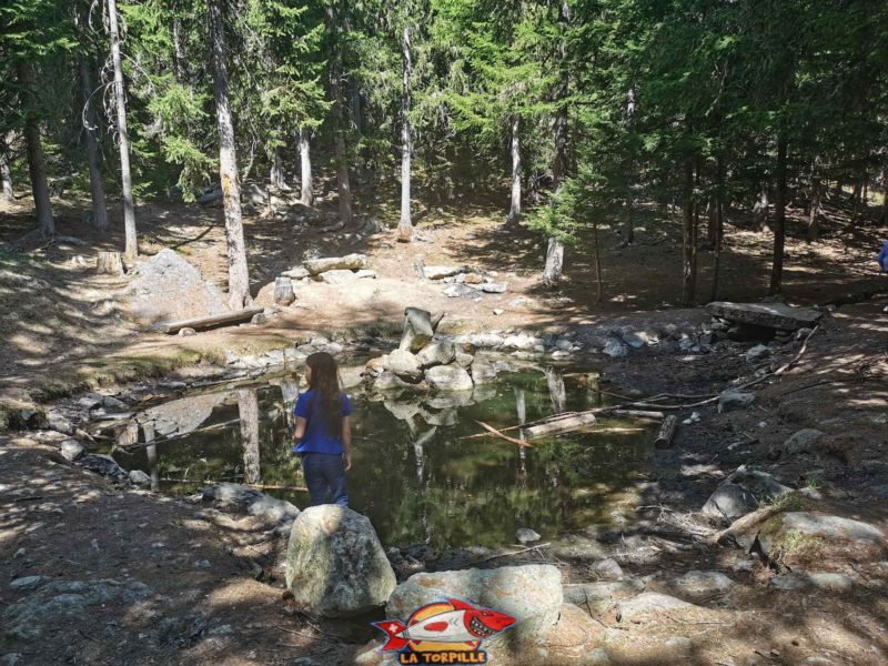 Un joli lac parcouru par le bisse autour duquel il est possible de faire des grillades. bisse de tsa creta