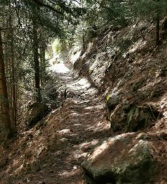 🏞️ Bisse de Tsa Crêta – Val d’Hérens