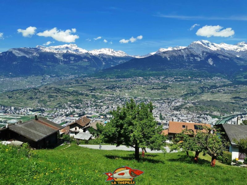 Magnifique vue sur Sion et la vallée du Rhône dès le début de la balade le long du bisse de Salins.