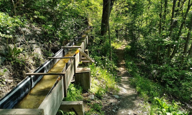 🏞️ Bisse de Salins et Bisse de Baar