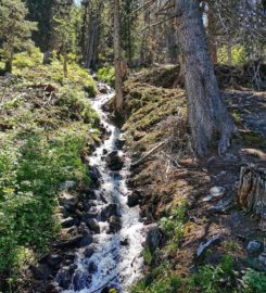 🏞️ Bisse de Vercorin