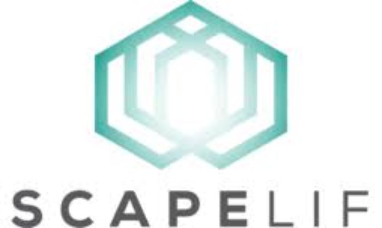 🚪 Escape Life Da Vinci – Sion