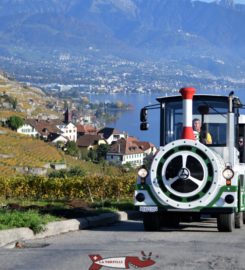 🚜 Train Touristique Lavaux Panoramic
