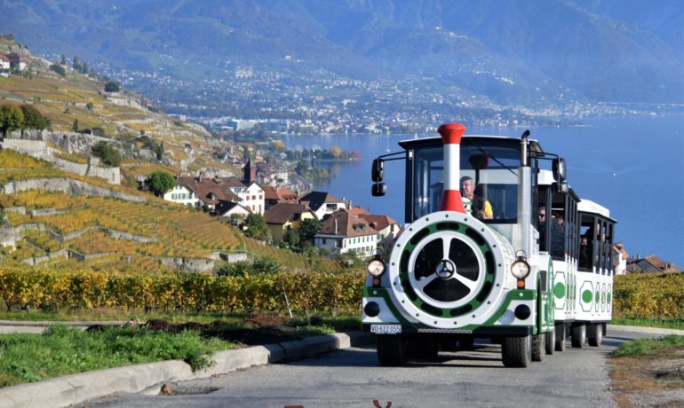 🚜 Train Touristique Lavaux Panoramic