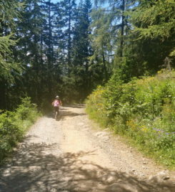 🛴🚗 Trottinherbe et Mountain Cart à Anzère