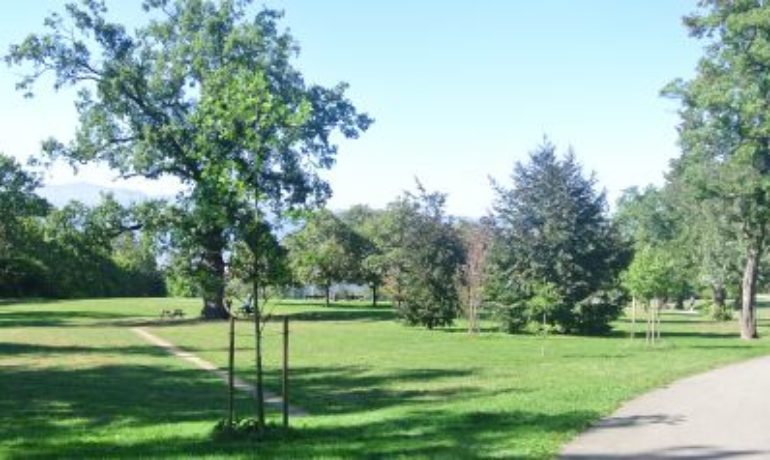 🥏 Disc Golf du Parc Sarasin – Grand-Saconnex