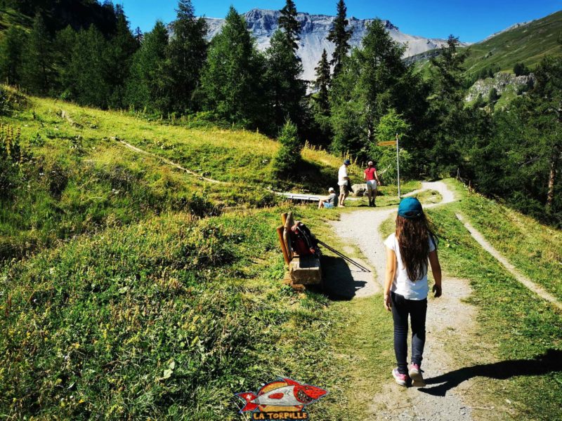 Le chemin en direction de la prise d'eau du bisse. bisse du Tsittoret