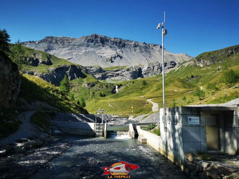 La prise d'eau du bisse du Tsittoret. bisse du Tsittoret