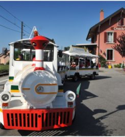 🚜 Train Touristique Lavaux Panoramic