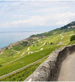 🚜 Train Touristique Lavaux Panoramic