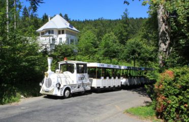 🚜 Petit Train Touristique La Chaux-de-Fonds