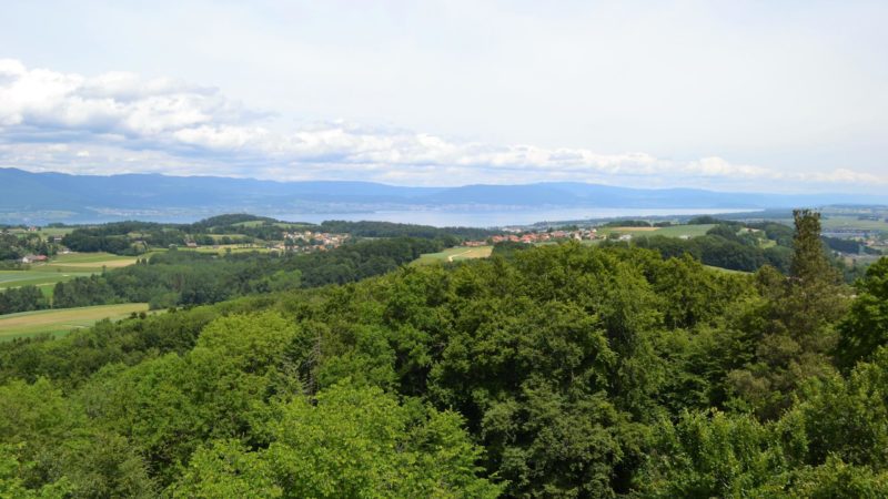 La jolie vue depuis le sommet de la tour sur le lac de Neuchâtel