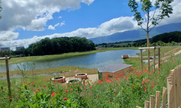 🚤 Lac des Vernes – Meyrin