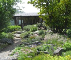 🌼 Jardin Alpin La Linnaea