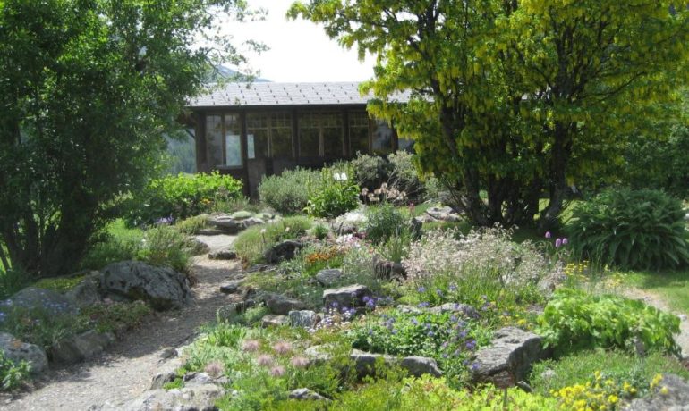 🌼 Jardin Alpin La Linnaea