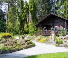 🌼 Jardin Botanique et Alpin de Meyrin