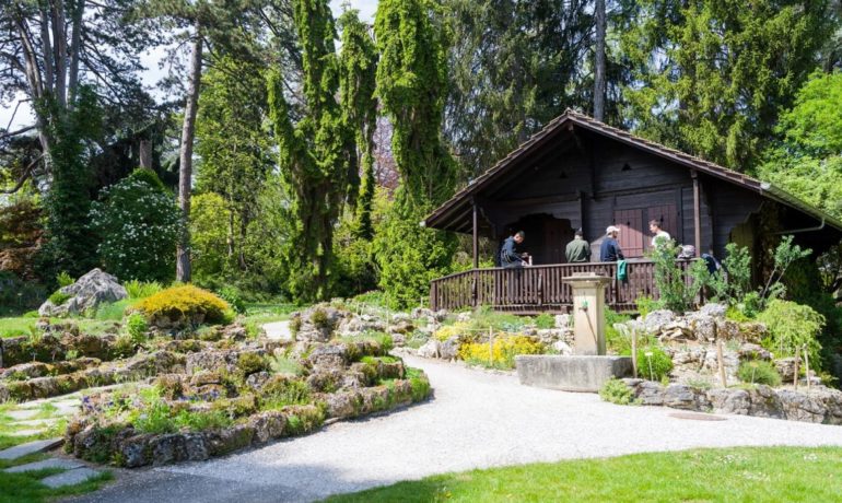 🌼 Jardin Botanique et Alpin de Meyrin