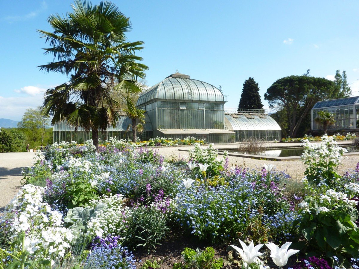 Le jardin botanique de Genève.