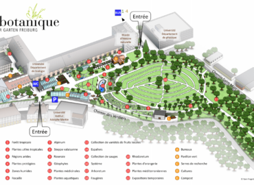🌼 Jardin Botanique de l’Université de Fribourg