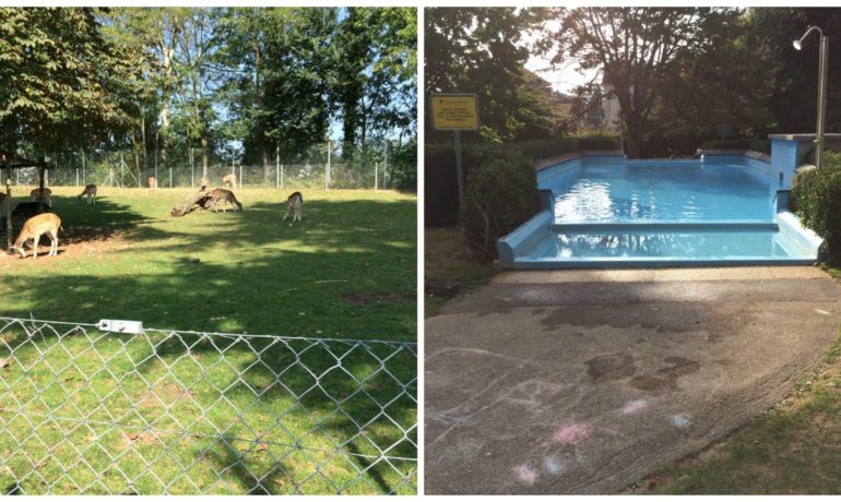 🦌 Parc Guillemin de Pully | Piscine en Plein Air et Parc aux Biches