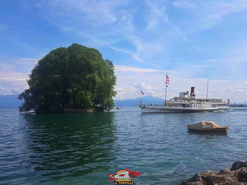 Île de la Harpe, Rolle Île de la Harpe, Rolle