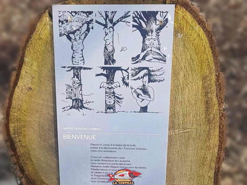 Une plaque de l'arboretum Tronches d'Arbres
