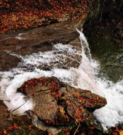 💧 Cascade de la Mèbre Crissier