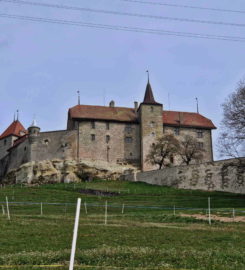 🏰 Château de Rue